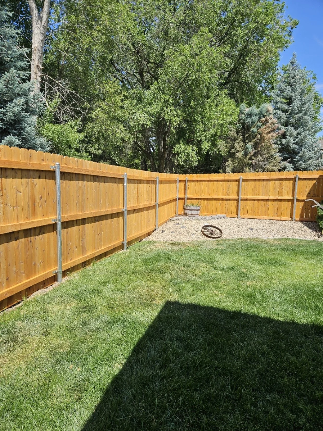 Warm cedar fence corner freshly restored in a Boise backyard
