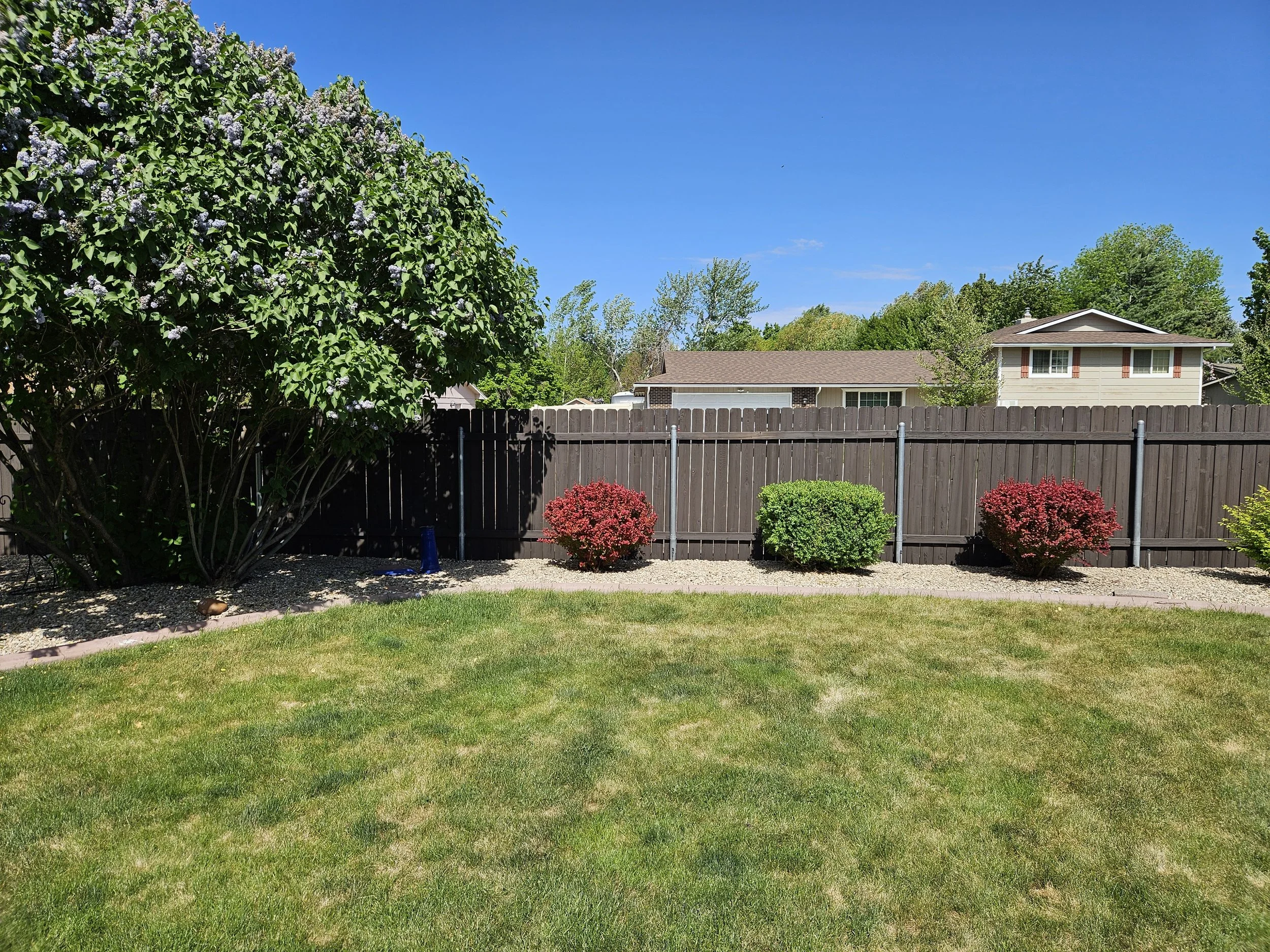 Restored red privacy fence panel in a backyard with lush trees