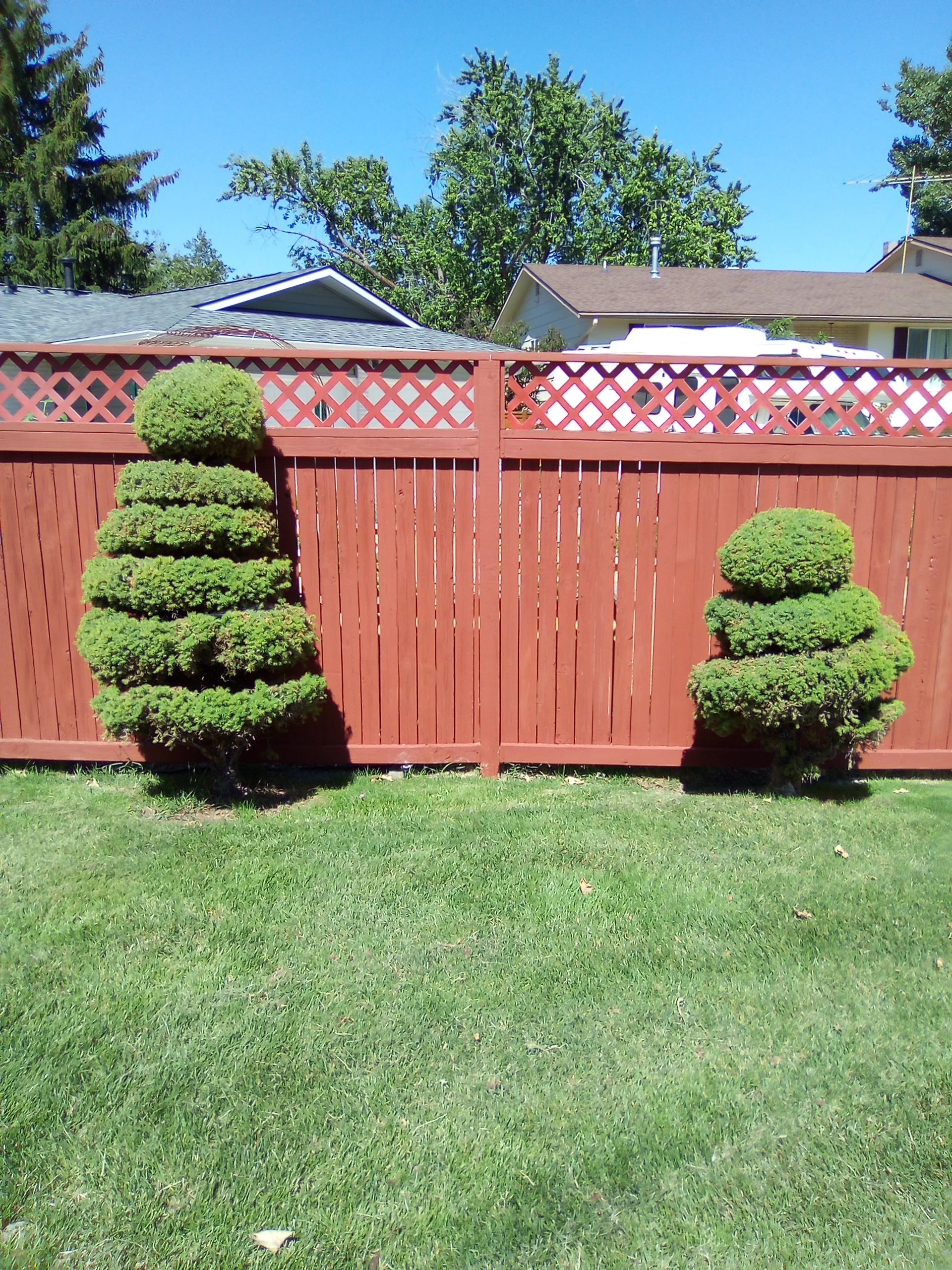 Red solid-stain privacy fence after pressure-wash and finish