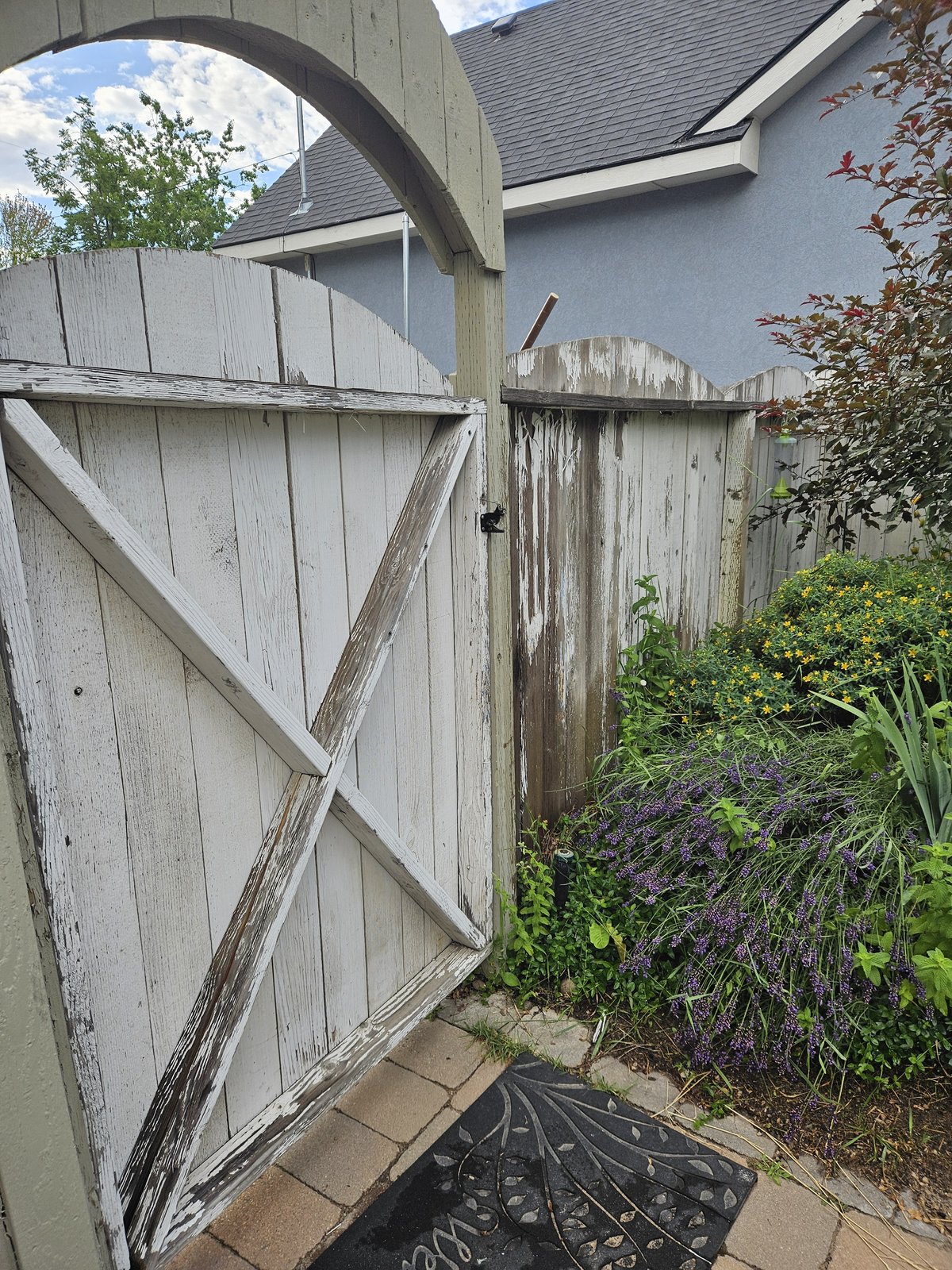 Weathered gray wood gate before restoration